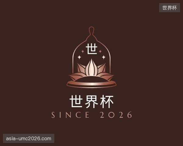 解读世界杯官方
